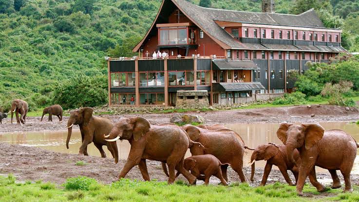 4-Day Northern Kenya Safari gallery 2
