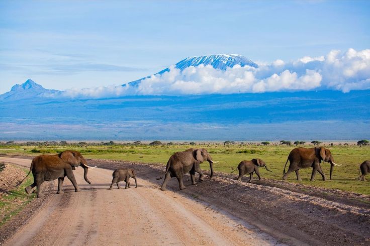 3-Day Amboseli Safari