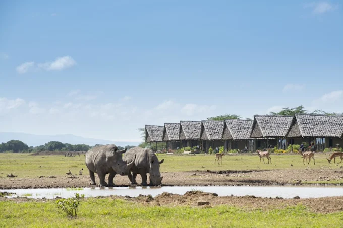 7-Day Kenya Grand Safari