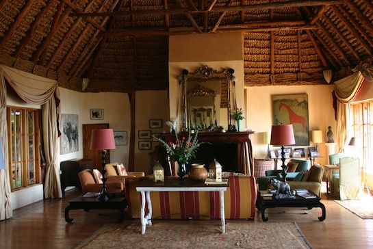 African safari view 5